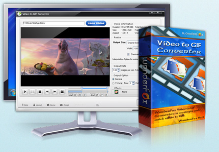 Video GIF Converter Free Download