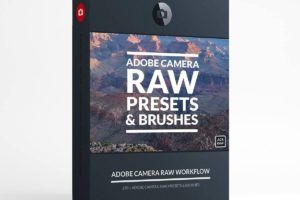 Adobe Camera Raw 11.0 Free Download