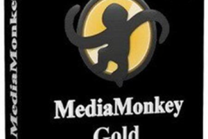 MediaMonkey Gold 4.1.21.1873 Free Download